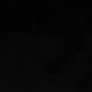 Meet your Posher, Rodney